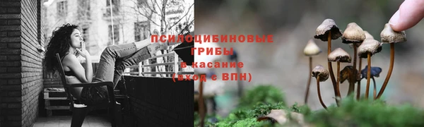 каннабис Надым