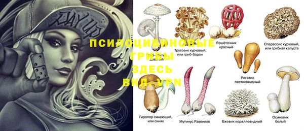 марки nbome Нефтекумск